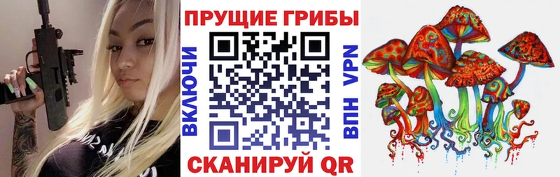 KRAKEN   Кызыл  Галлюциногенные грибы Cubensis  закладка 