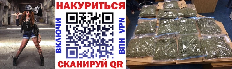Каннабис семена  Кызыл 
